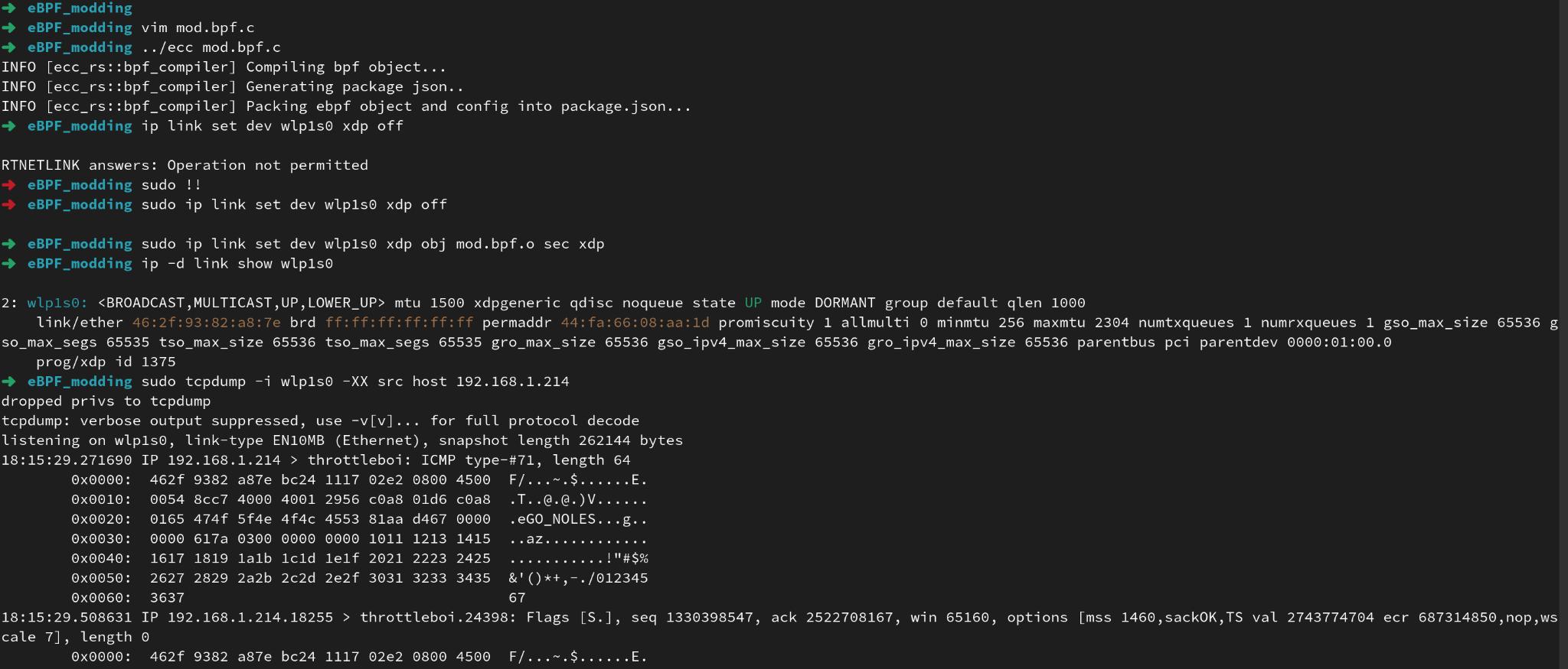 Using eBPF to modifiy an incoming network packet